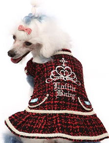 批發(fā)供應(yīng)寵物食品 消化潔齒骨，1包起批，廠家直供，帶圖片詳情